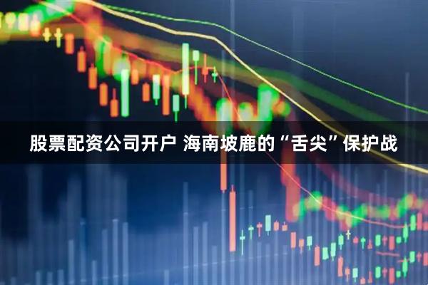 股票配资公司开户 海南坡鹿的“舌尖”保护战